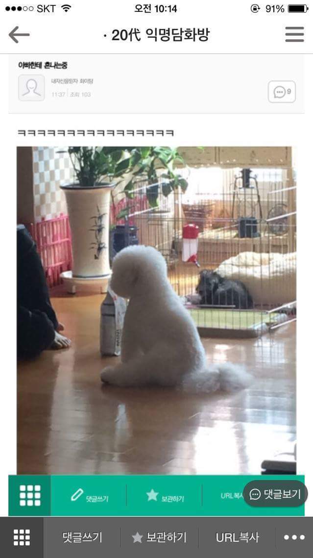  익친 캡쳐ㅋㅋㅋㅋㅋㅋ(feat.멍이) | 인스티즈