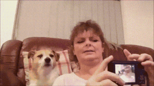 웃어 새끼야.gif | 인스티즈