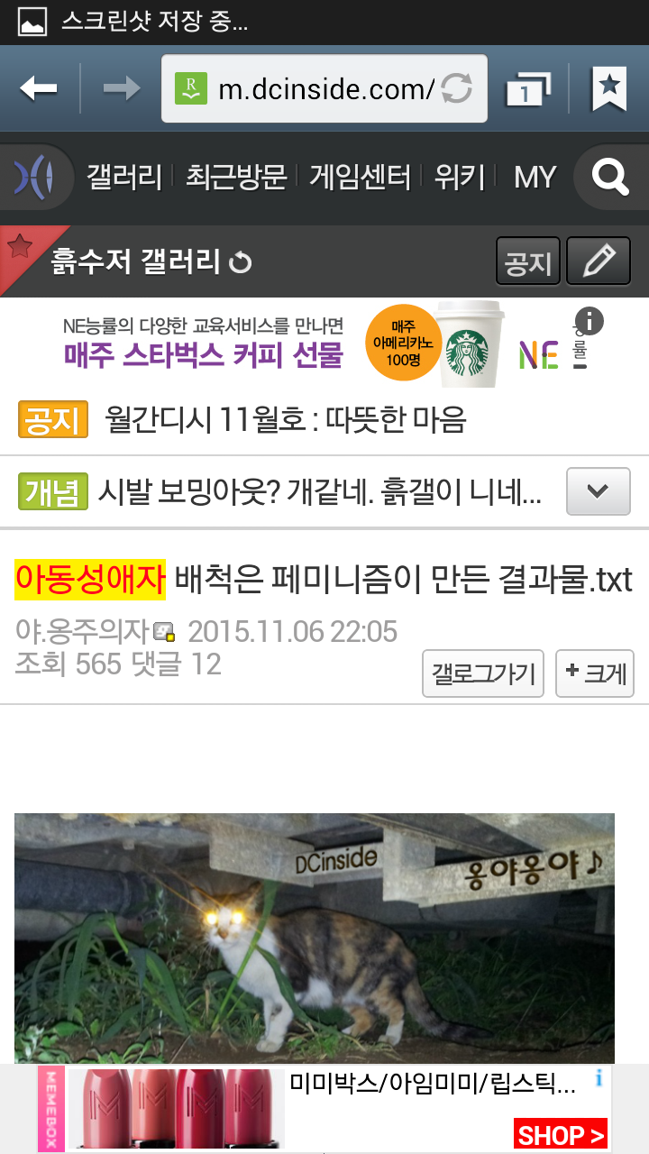 아동성애가 욕먹는건 페미니즘때문이라는 디시남 | 인스티즈