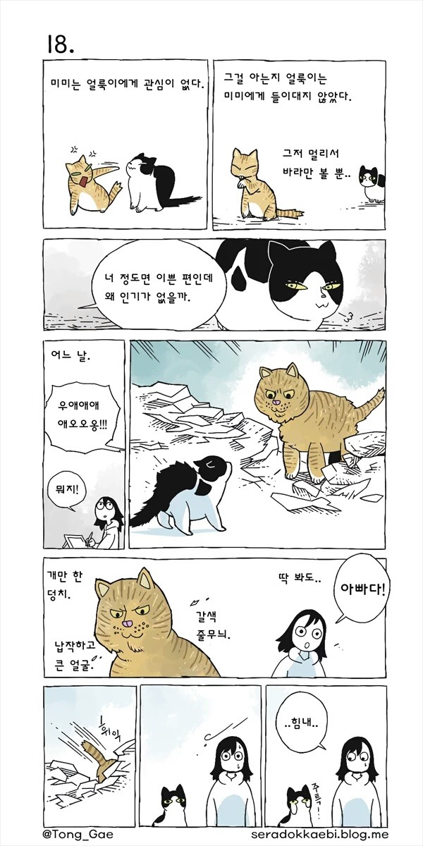 고양이 여덟마리와 사는만화 | 인스티즈