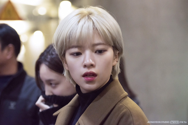 다소 이미지
