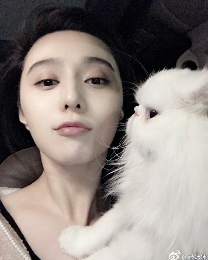 판빙빙 고양이.jpg | 인스티즈