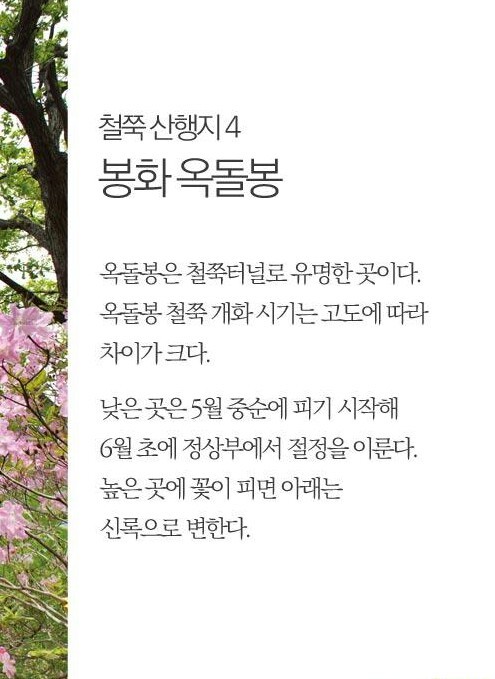 명산전자 이미지