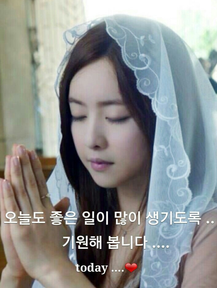 청춘집수리 이미지
