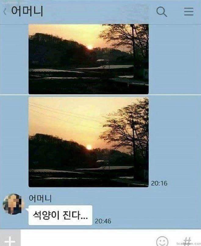 갑자기 궁쓰시는 어머니 | 인스티즈