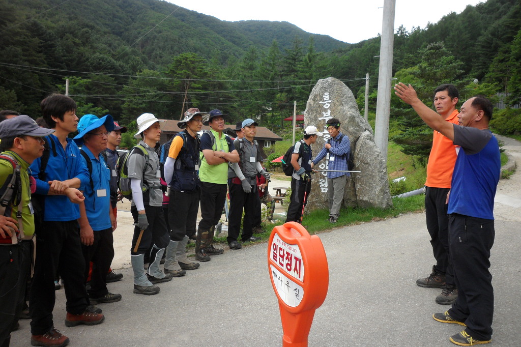 지리산산삼산야초 이미지