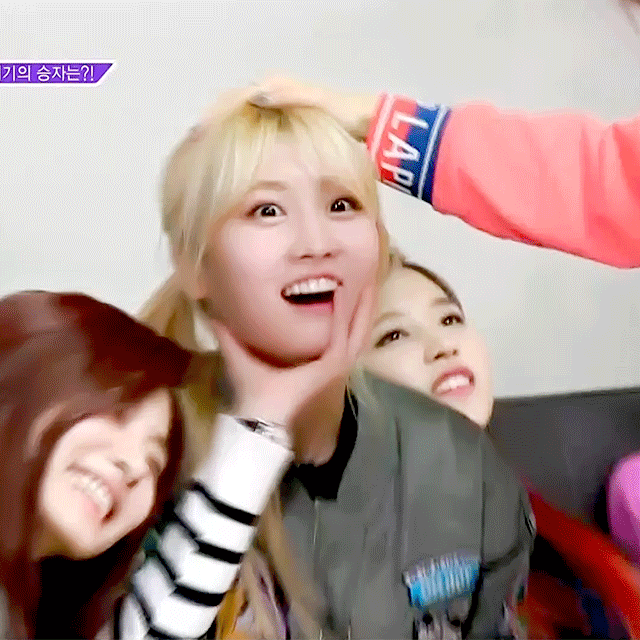 [트와이스] Z르지마 얼마 가Zl 않아 모구리 짤모음.jpg | 인스티즈