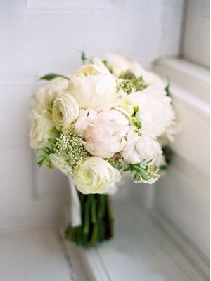 peony 이미지