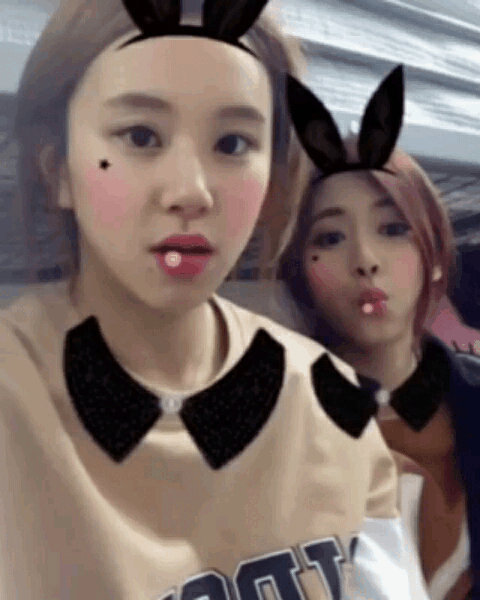 [트와이스] 라인정리 아홉번째 -급식단- | 인스티즈