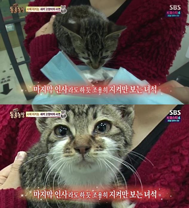 은근히 못 보는 사람 많은 주제 투탑.jpg | 인스티즈