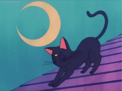Tumblr : #cat #pink | 인스티즈