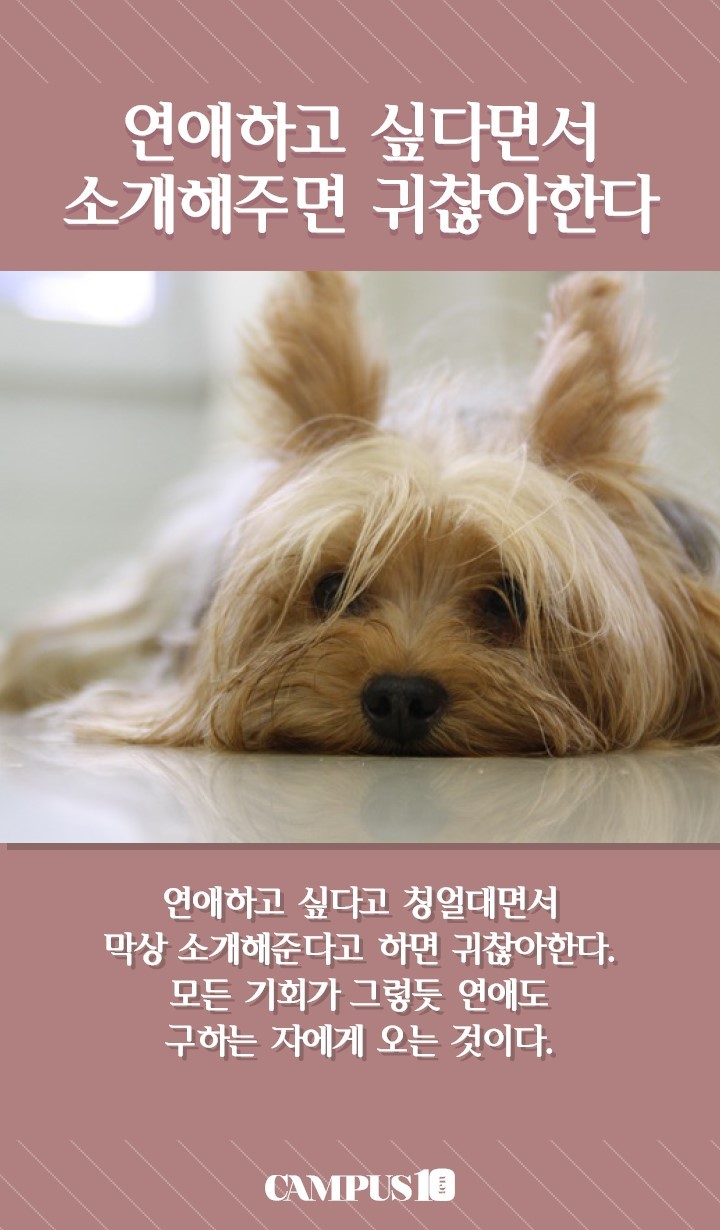 님들이 연애 못하는 이유.jpg | 인스티즈