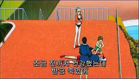 집사들이 고먐미한테 하는 짓.twt | 인스티즈