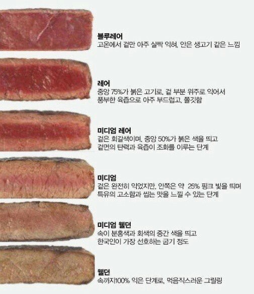 스테이크 취향별 차이.jpg | 인스티즈