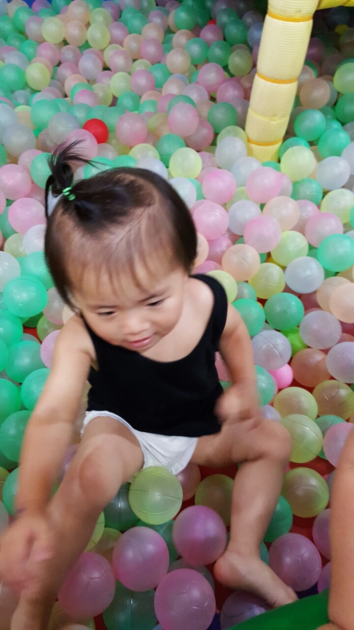 꽃피는 이미지