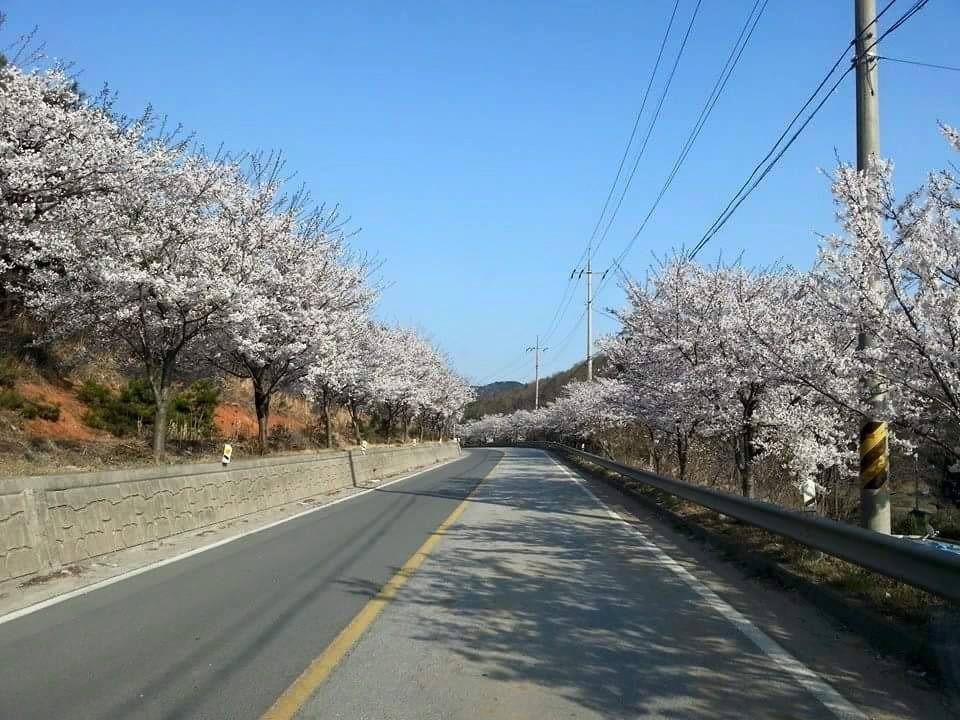 회포마을 이미지