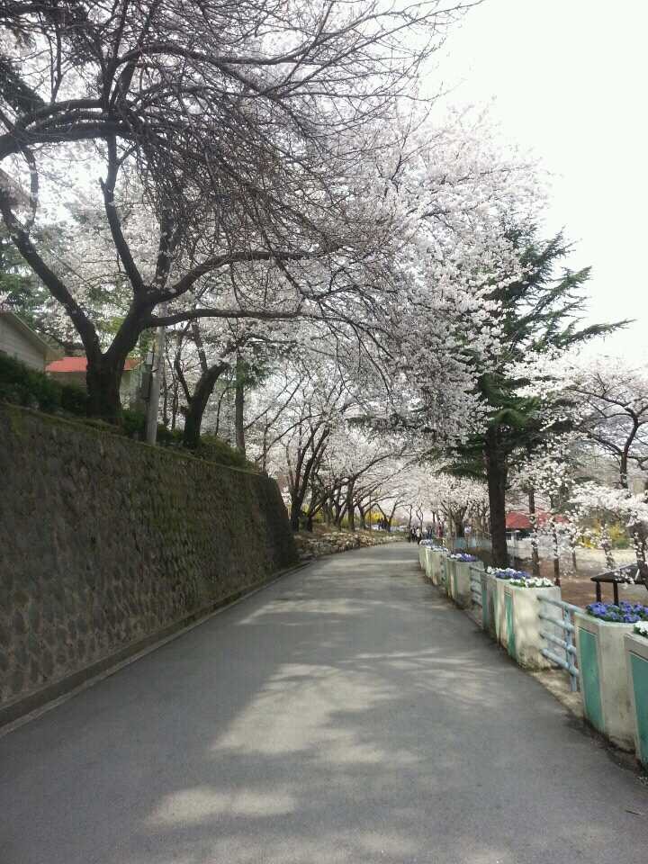 앞산공원 이미지