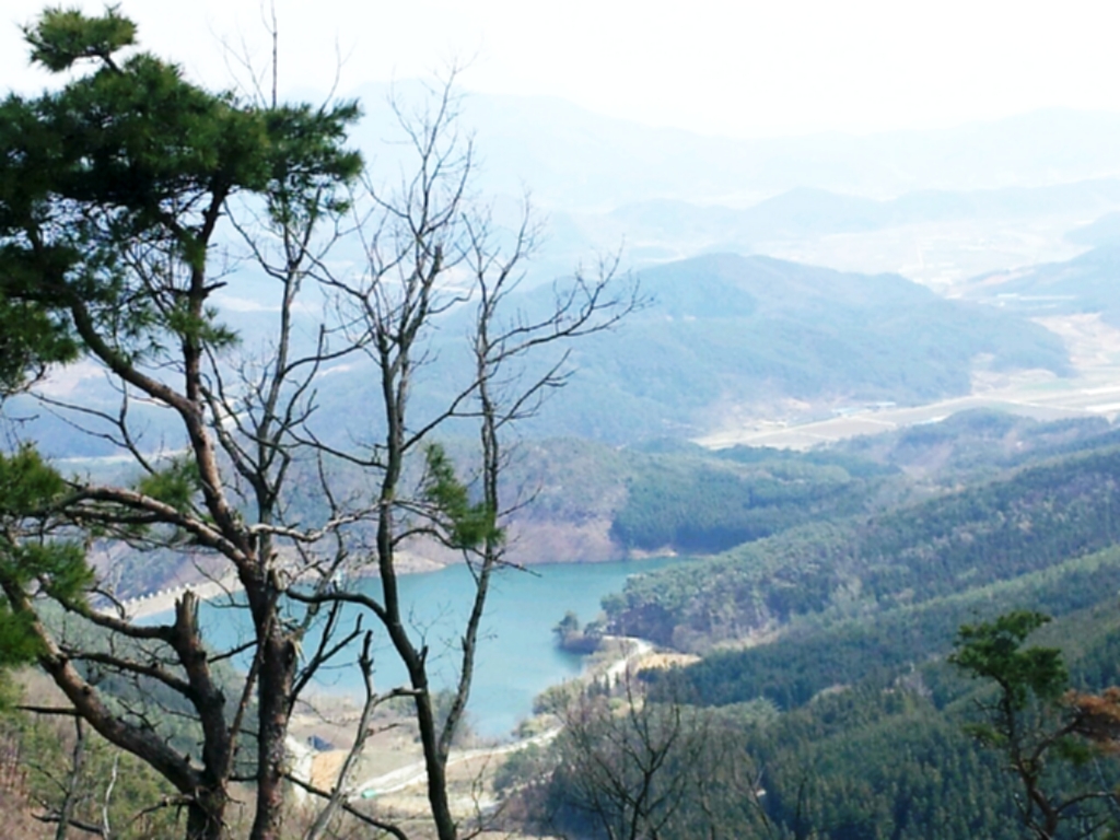 숲길 전경 이미지