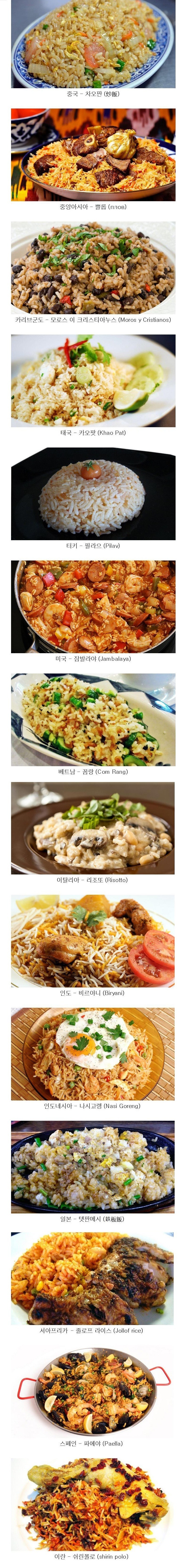 세계의 볶음밥 ㄷㄷㄷ | 인스티즈