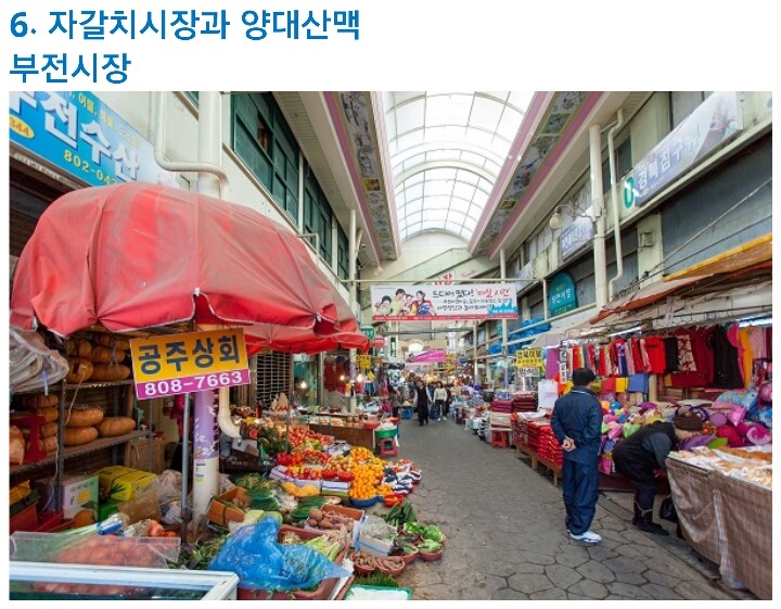 부산 여행가면 꼭 가봐야 할 곳 | 인스티즈