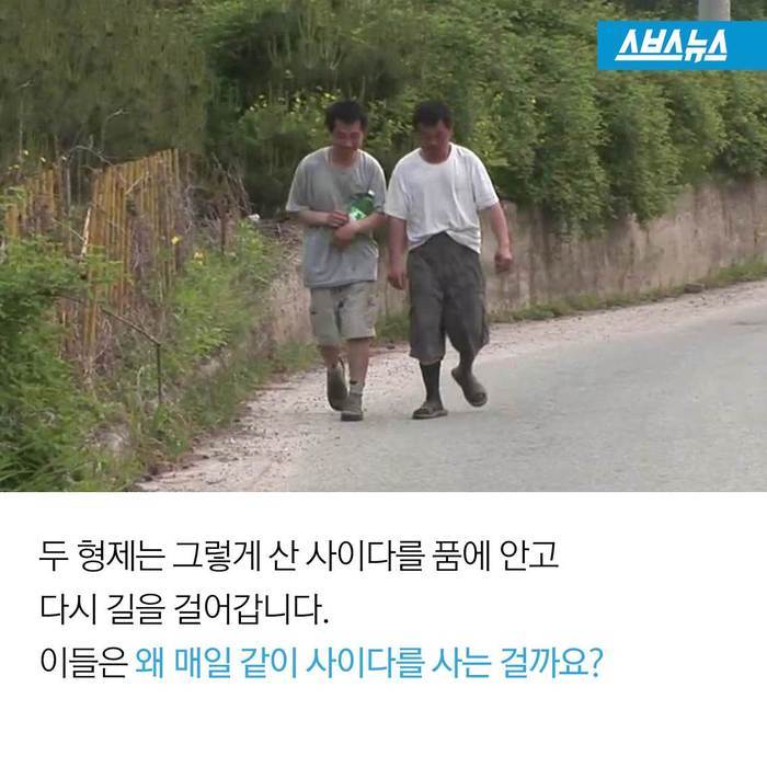  이것은 사이다가 아닙니다 | 인스티즈
