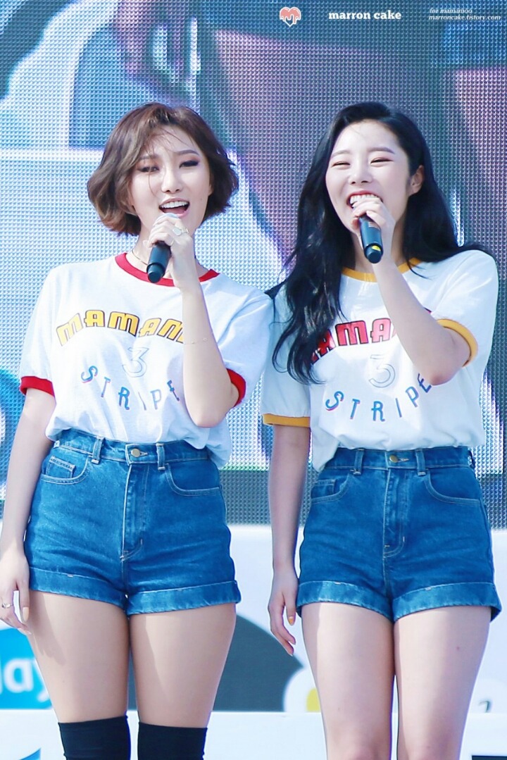 직업 선택 잘한 마마무 | 인스티즈