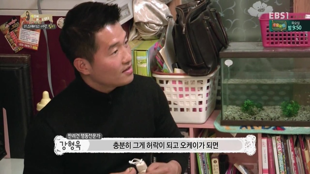 [세상에나쁜개는없다] 가족들에게 짖고 무는 강아지 릴리햏 | 인스티즈