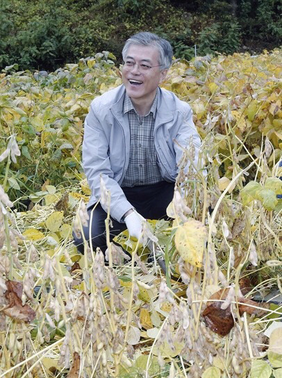 🌿 농업왕 문재인 🌿 | 인스티즈