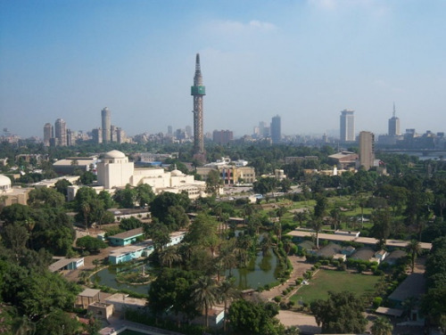 아프리카 4대도시.jpg(+대한민국 대구) | 인스티즈