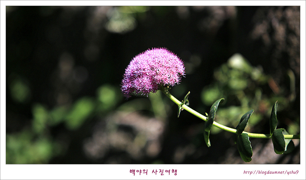 산성큰 이미지