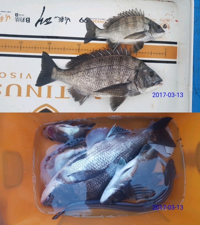 전국선외기 이미지