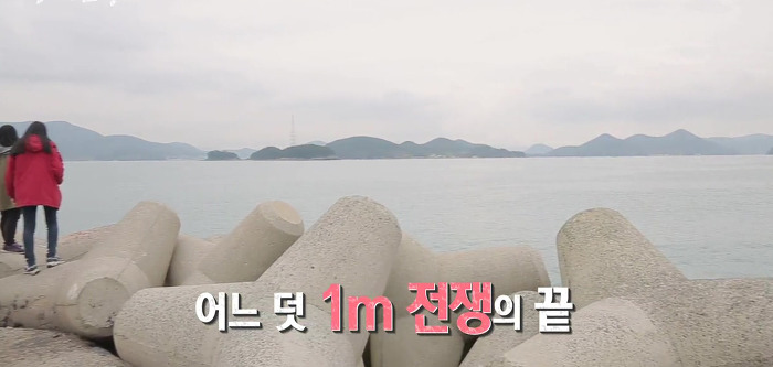 SBS 스페셜 엄마의 전쟁 흥부네 13남매 이야기(完) | 인스티즈