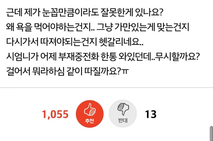 시어머니가 다신 오지말래요 ㅎㅎ (강사이다남편&말잘하는아내) | 인스티즈