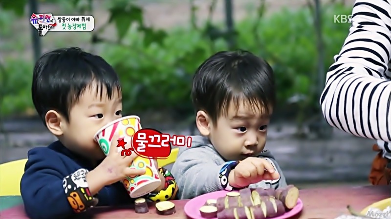 [슈퍼맨이돌아왔다] 뭔가 다급한 서언이 ㅋㅋㅋㅋㅋㅋㅋ | 인스티즈
