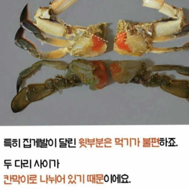 간장게장 먹는방법 | 인스티즈