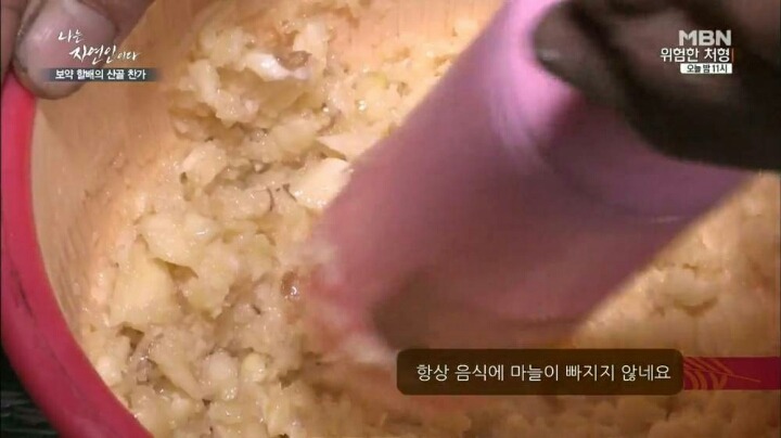 나는 자연인이다 마늘성애자 (마늘주의) | 인스티즈