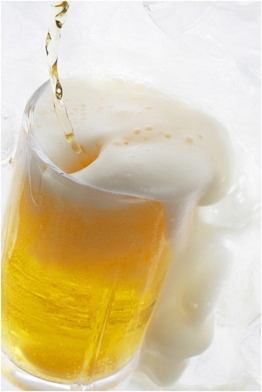 그늘맥주 이미지