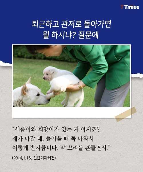 박근혜를 거쳐 간 강아지들 스토리 | 인스티즈