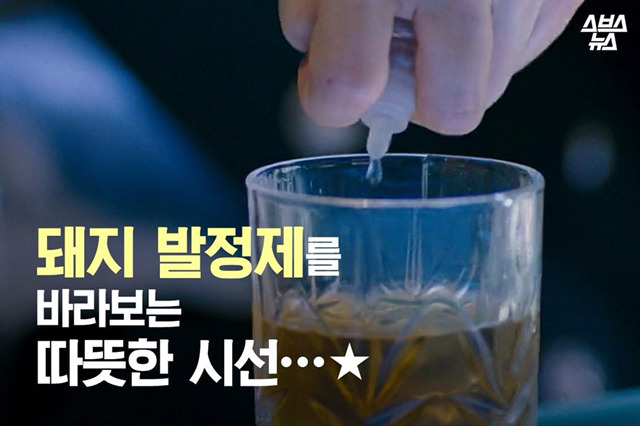 돼지발정제를 바라보는 따뜻한 시선 | 인스티즈