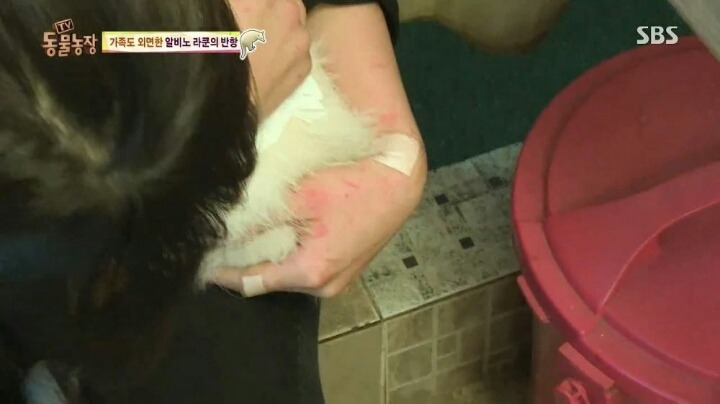 힘들게 일하는 여자 사육사ㅠㅠ.jpg | 인스티즈