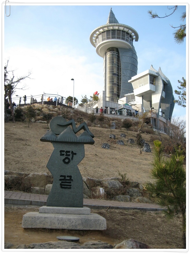 땅끝마을홍어 이미지