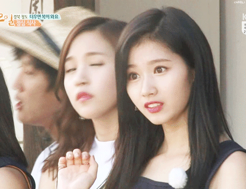 민화투자키 사나.gif | 인스티즈