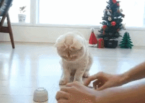 도대체 무슨 생각가지며 사는지 모르겠는 놈들.gif | 인스티즈