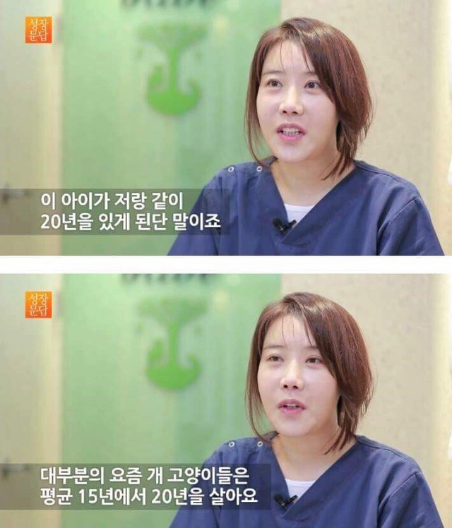 동물을 좋아하는 사람이 동물을 버린단 말이에요 | 인스티즈