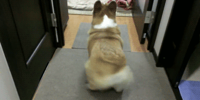 가인 따라하는 우주대스타 김희철.gif | 인스티즈