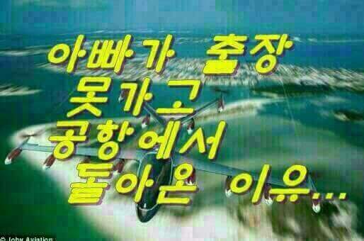 아빠가 출장을 못가고 공항에서 돌아온 이유... | 인스티즈