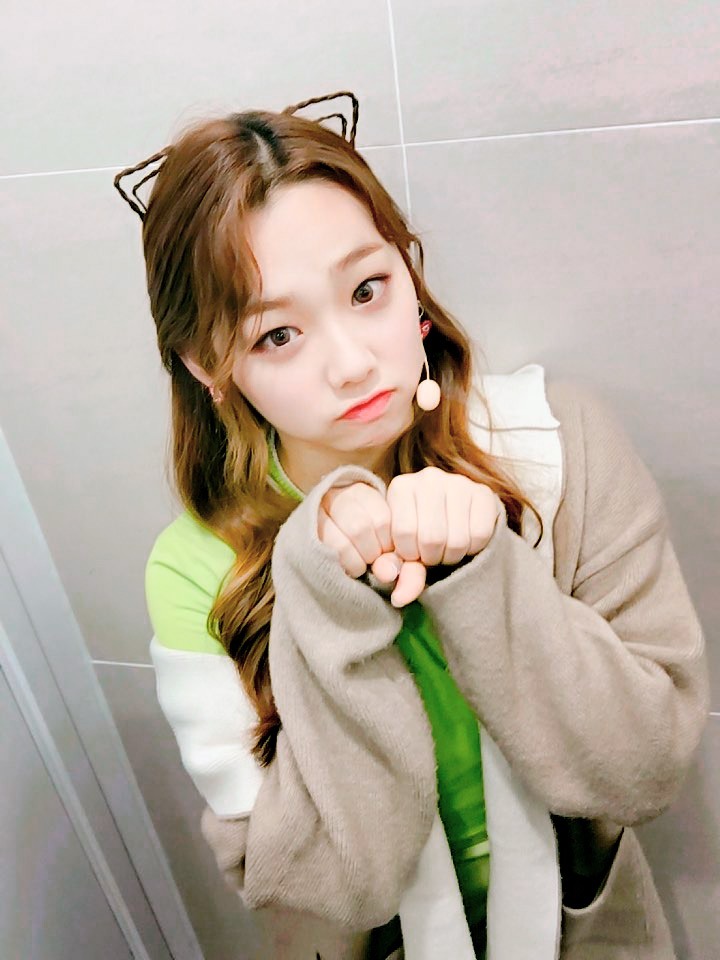 강미나 고양이 | 인스티즈