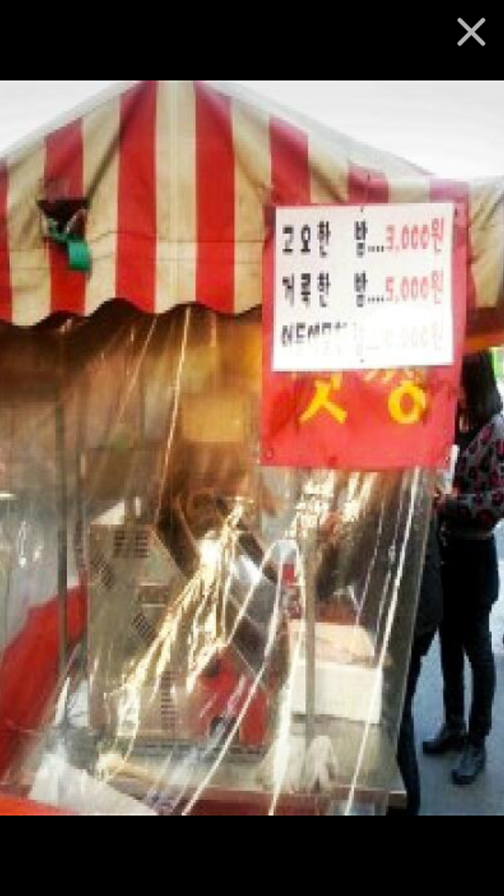 센스쟁이 이미지
