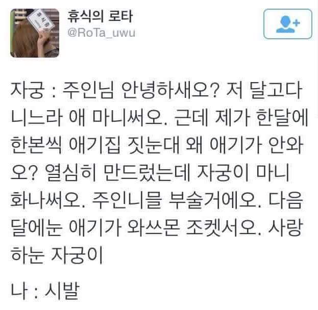 자궁 : 주인님 안녕하새오? | 인스티즈
