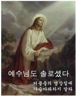 우리는 무적의 솔로부대이다 | 인스티즈